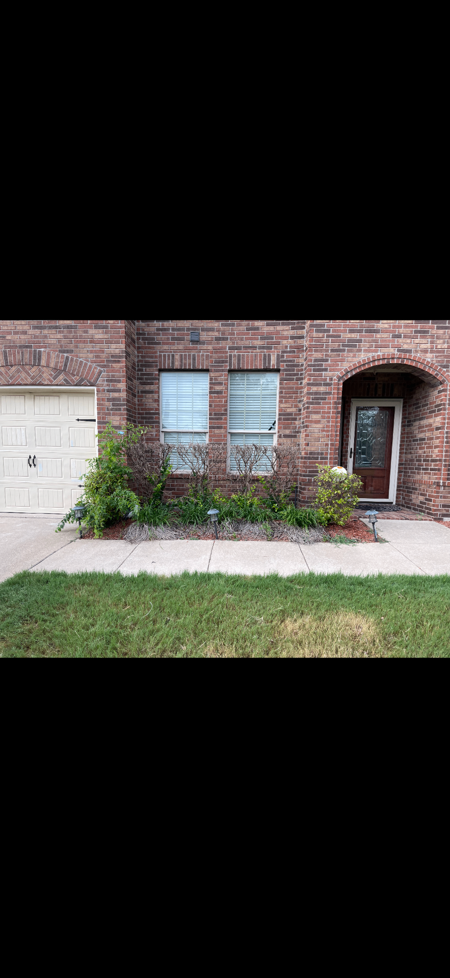 Front flower bed - Before